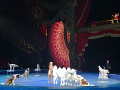 -珠海横琴长隆《卡卡虎奇遇记》