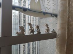 -谜秀韩式半永久纹眉纹绣洗眉