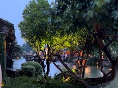 -乌镇西栅景区