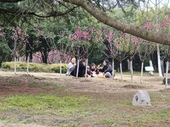 -白塘生态植物园