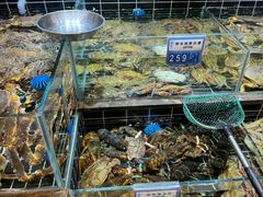 -宁海食府·涌宴(真和店)