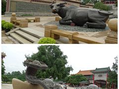 -广东圆玄道观