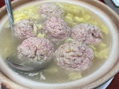 -丁老爷子苏香圆