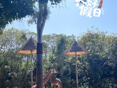 -深圳野生动物园