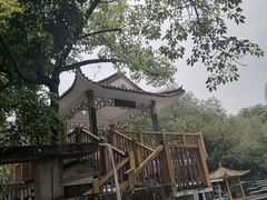 -晓港公园