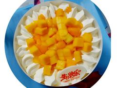 -维尔纳斯·生日蛋糕·动物奶油冰淇淋蛋糕(六里桥店)