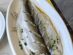 -蟹天蟹地农家菜·阳澄湖大闸蟹(浅水湾店)