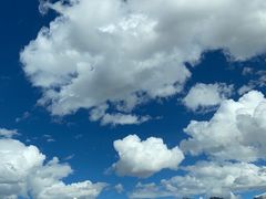 -老字号怡玺·藿香雅鱼(20年雅安店)