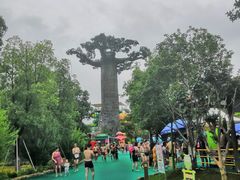 -苏州乐园森林水世界