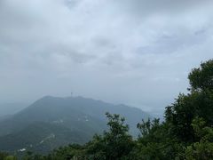 -梧桐山风景名胜区