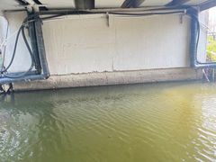 -苏州太湖西山岛开心农场