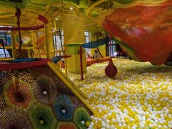 -宝燕乐园(闵行旗舰店)