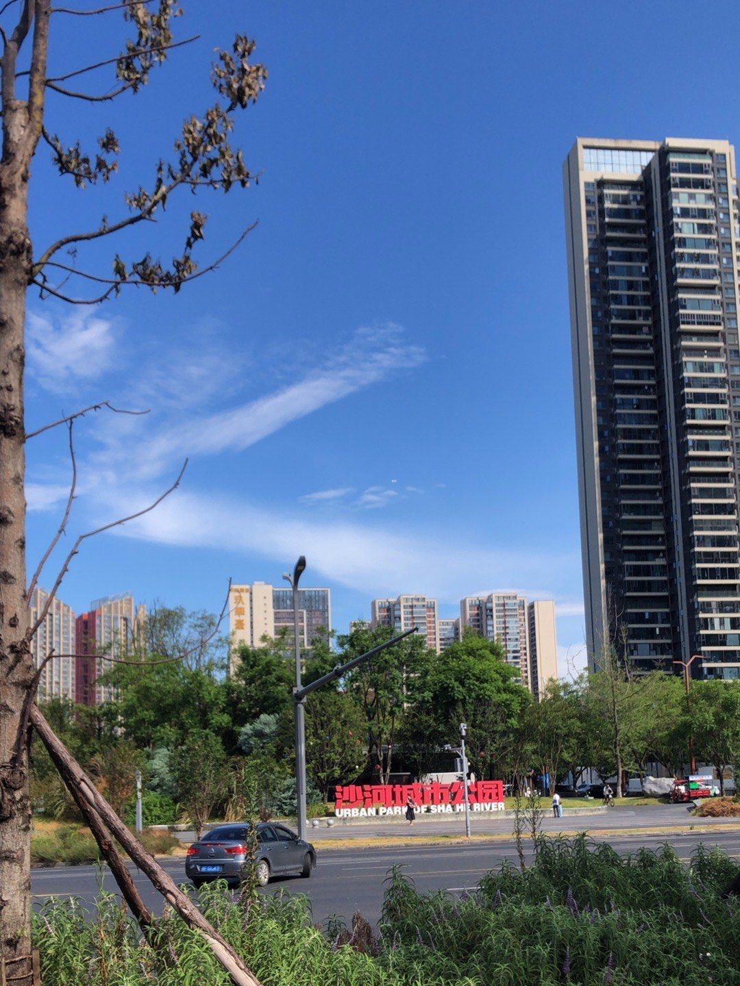 沙河城市公园今天怎么了?