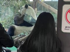 -上海动物园(地铁站)