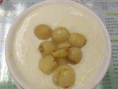 莲子双皮奶-义顺牛奶公司