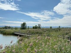 -野鸭湖国家湿地公园