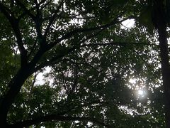-深圳湾公园(南山区)
