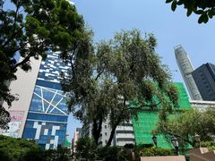 -九龙公园
