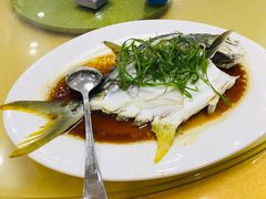 清蒸海鱼-双月饭店·20年老字号(新村店)