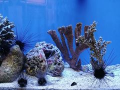-上海海洋水族馆
