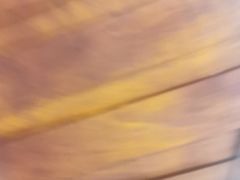 -薛阿婆(北美新天地中心店)