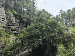 -梭布垭石林景区