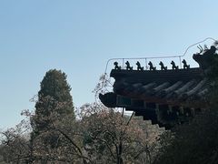 -香山公园