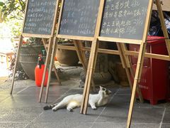 -龙姐私房菜(和顺古镇店)