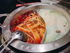 -井格重庆火锅(西直门凯德Mall店)