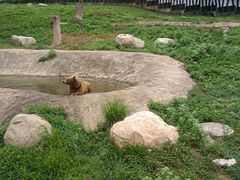 -西安秦岭野生动物园