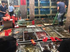 水产区-湛江渔港·大排档(乐园路总店)