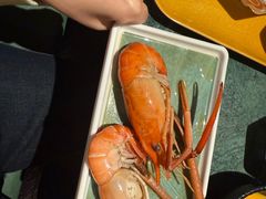 -牛New寿喜烧(金鹰世界店)