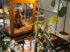 -一尺花园(安和花园店)