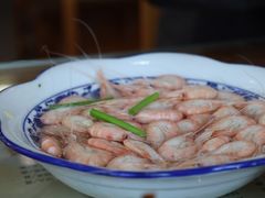 白米虾-洞天食府(北大街店)