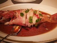 -金轩中餐厅 Jin Xuan(浦东丽思卡尔顿酒店)
