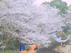 -杭州少年儿童公园