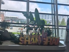 -上海浦东国际机场-T2航站楼