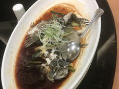 -新南华大酒店(广中店)