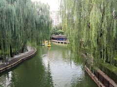 -团结湖公园