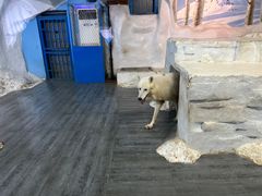 -南京海底世界