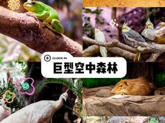 -正佳雨林生态植物园
