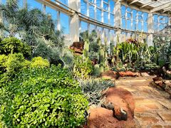-昆明植物园