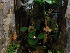 -怡泰SPA·泰疗按摩(徽宁路店)