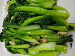 生炒菜心-客语客家菜(花园城店)