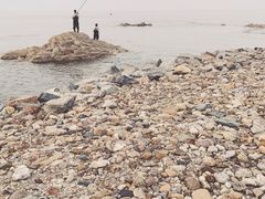 -海之味海鲜大咖·家常菜