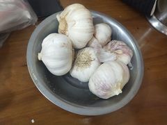 -回坊马二饺子馆