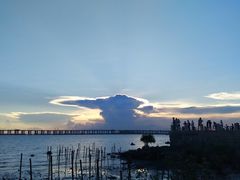 -宝安西湾红树林湿地公园