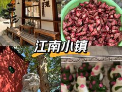 -丝绸小镇荻港古村