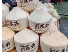 -东兴口岸-中越友谊大桥