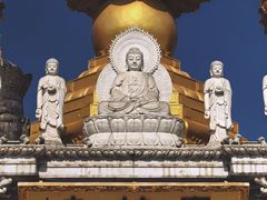 -上海东林寺(金山区)
